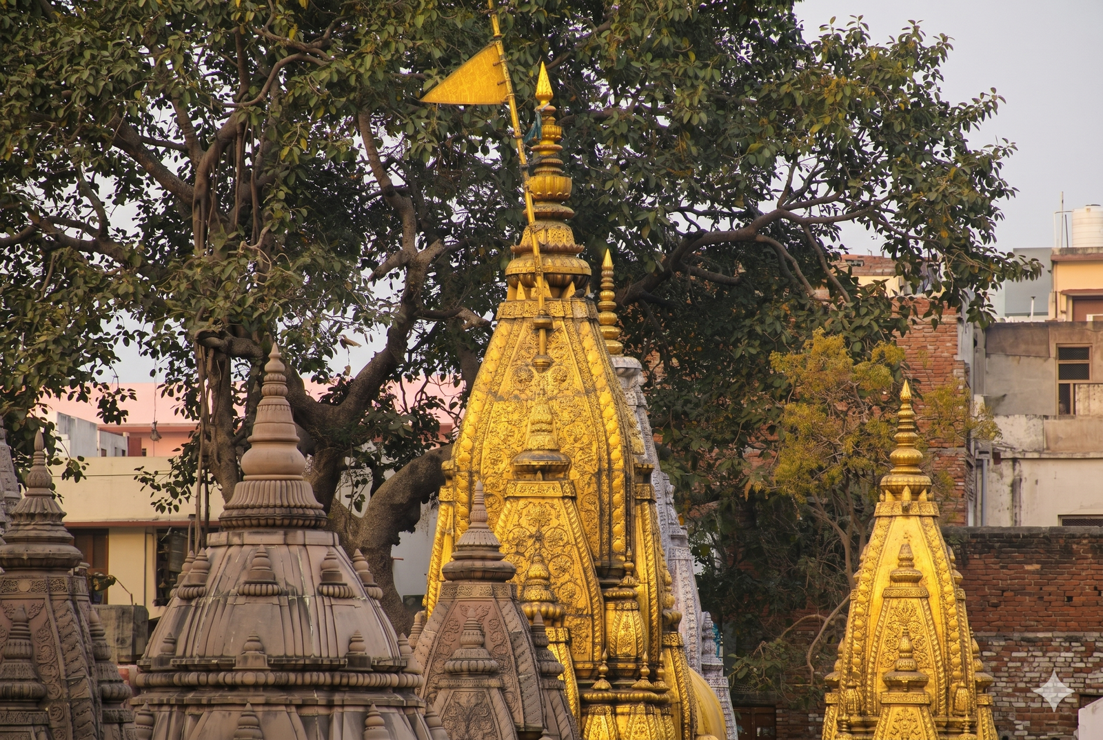 Kashi Vishwanath Temple